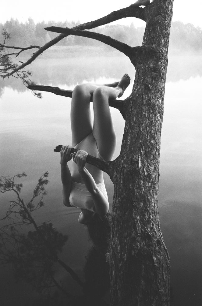 Фотография автора Дарья Чванова