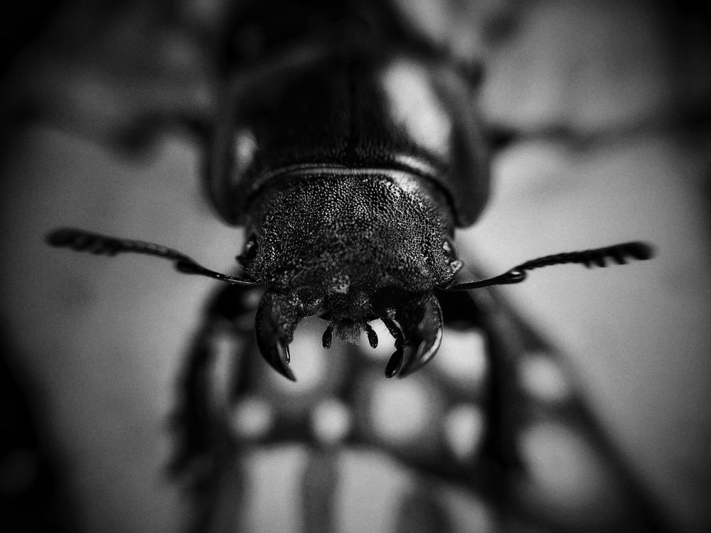 Photograph by Ольга Мажарук