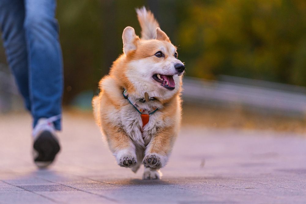 Photograph by Анна Полушина