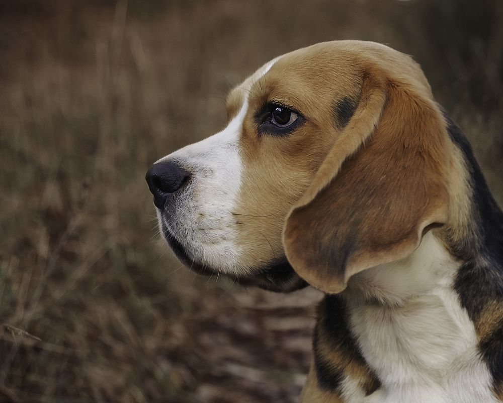 Photograph by Anna Sindikayeva