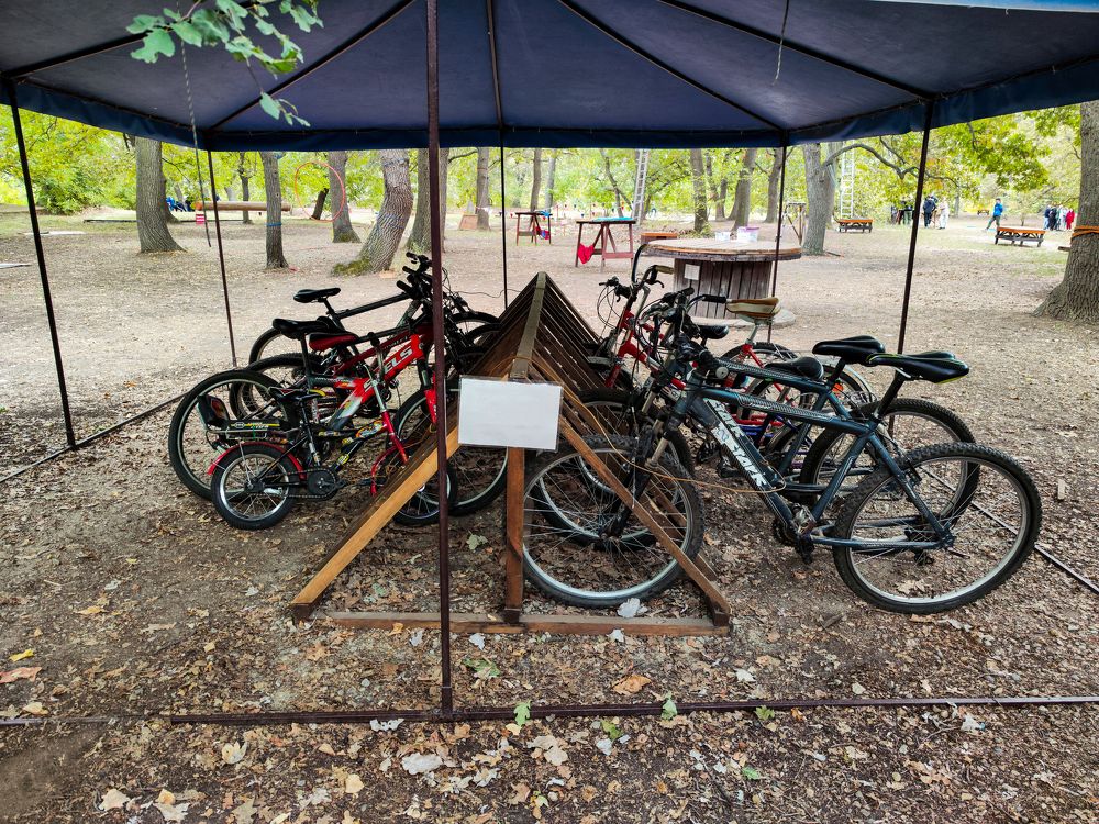 Photograph by Ирина Шибитова