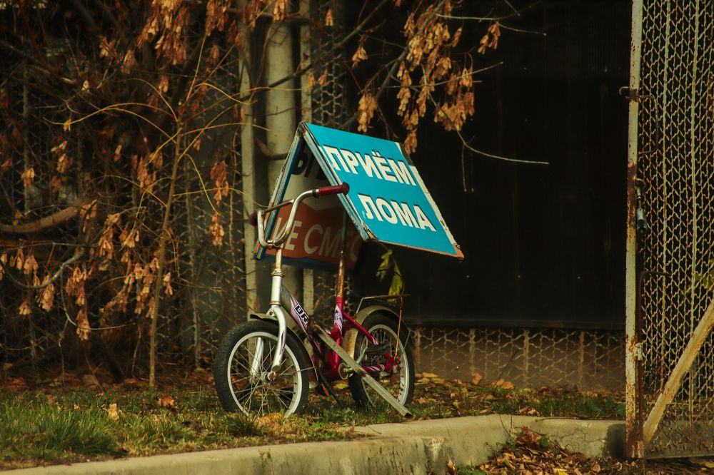 Photograph by Алексей Шевцов