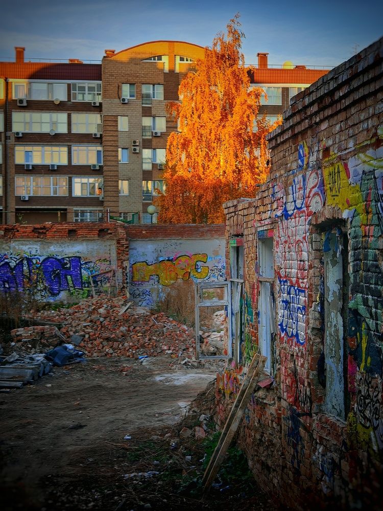 Photograph by Ольга Мажарук