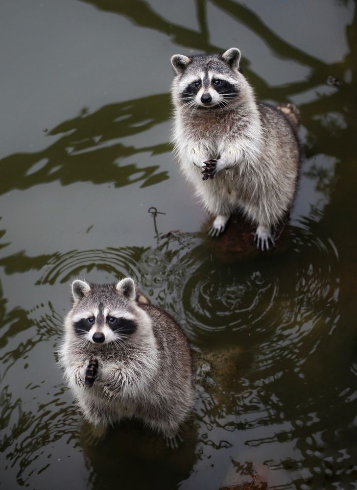 Photograph by Leanid Kulpo