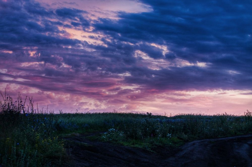 Photograph by Ольга Мажарук