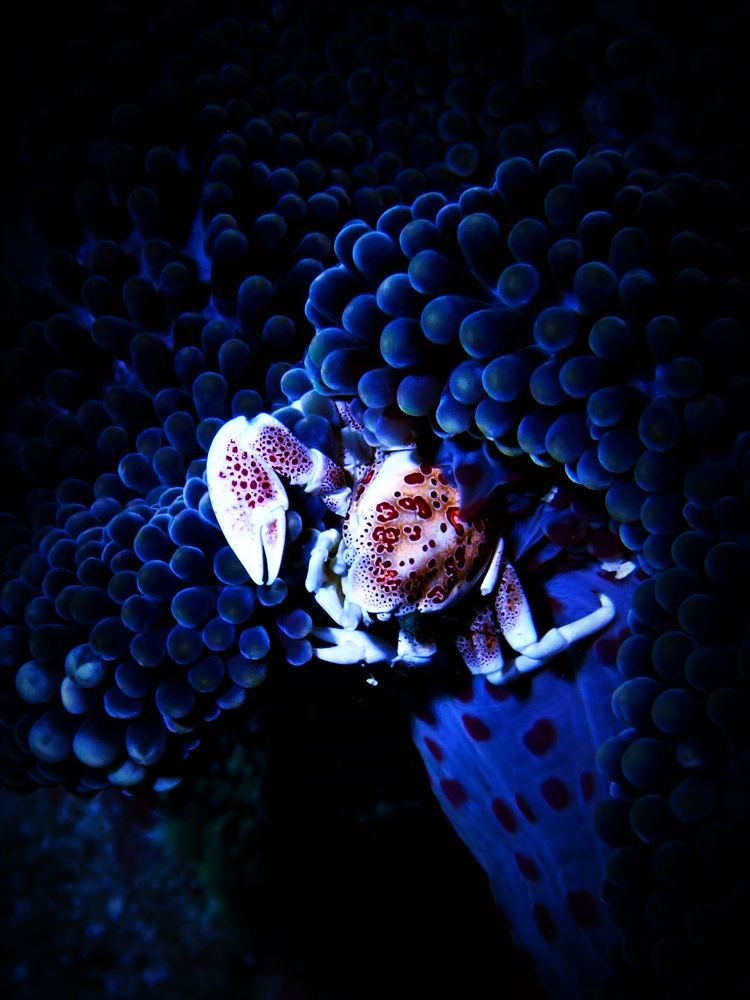 Photograph by Кирилл Леднев