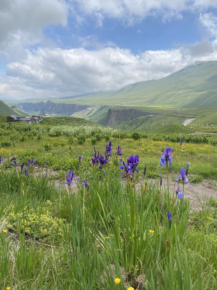 Photograph by Алиса Лукина