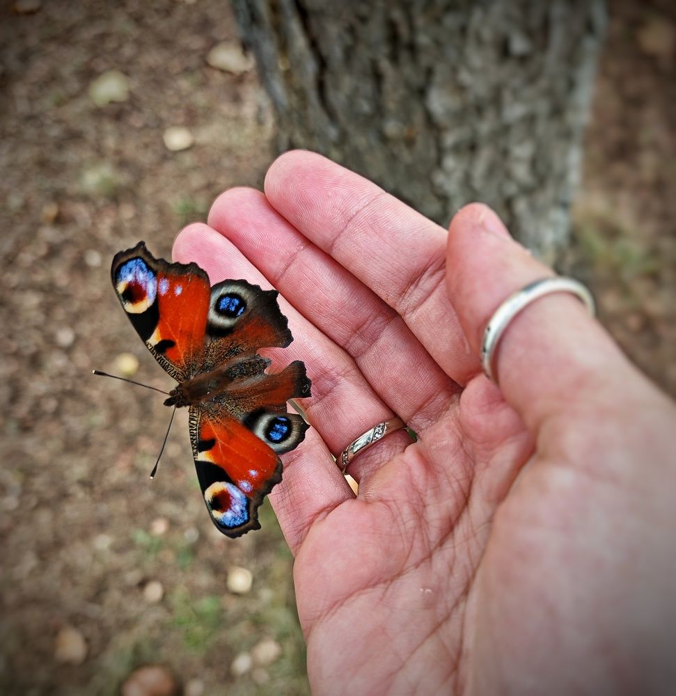 Photograph by Ольга Мажарук