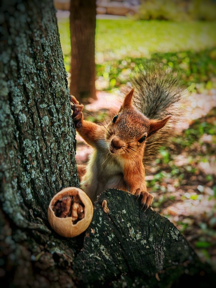 Photograph by Ольга Мажарук