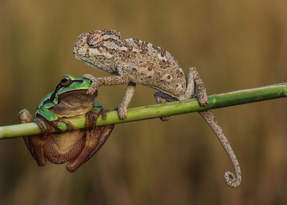 Photograph by Savas Sener
