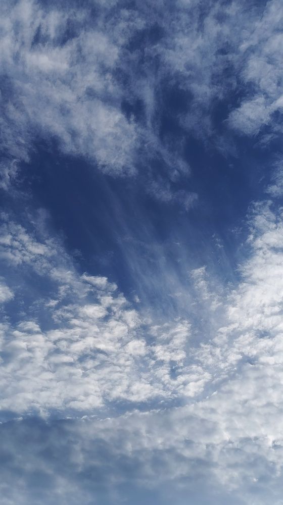 Фотография автора Ольга Никанович