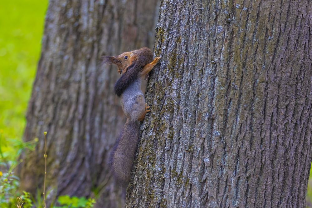 Photograph by Egor Ugrof