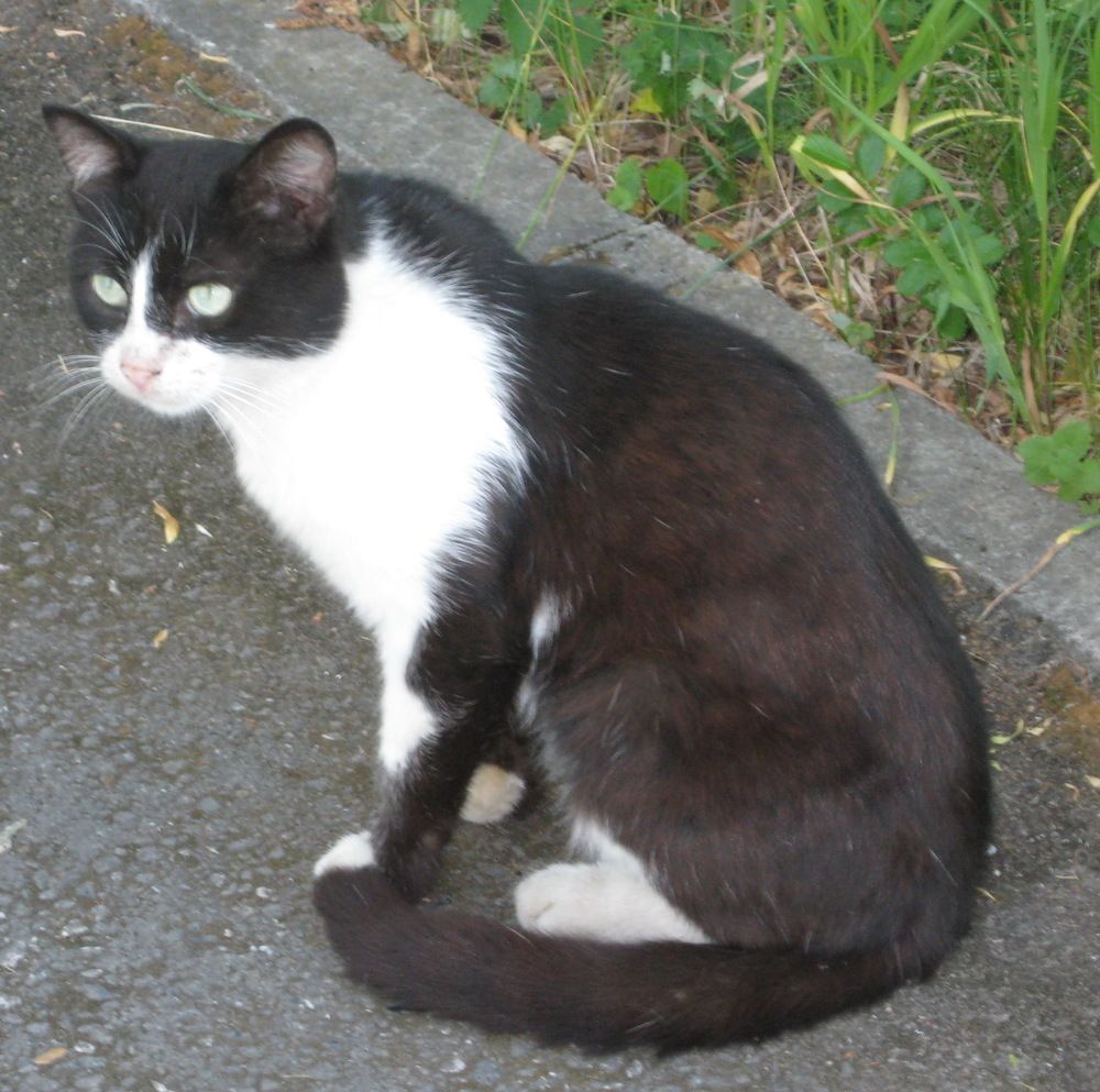 Photograph by Наталия