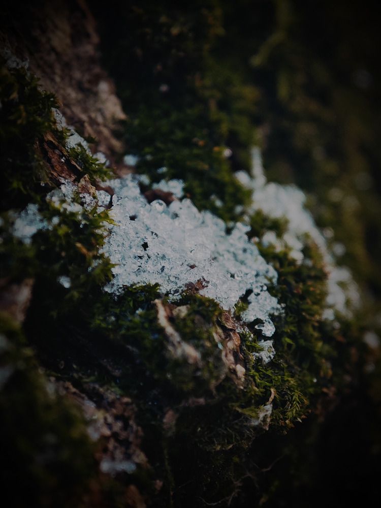 Photograph by Алексей Климов