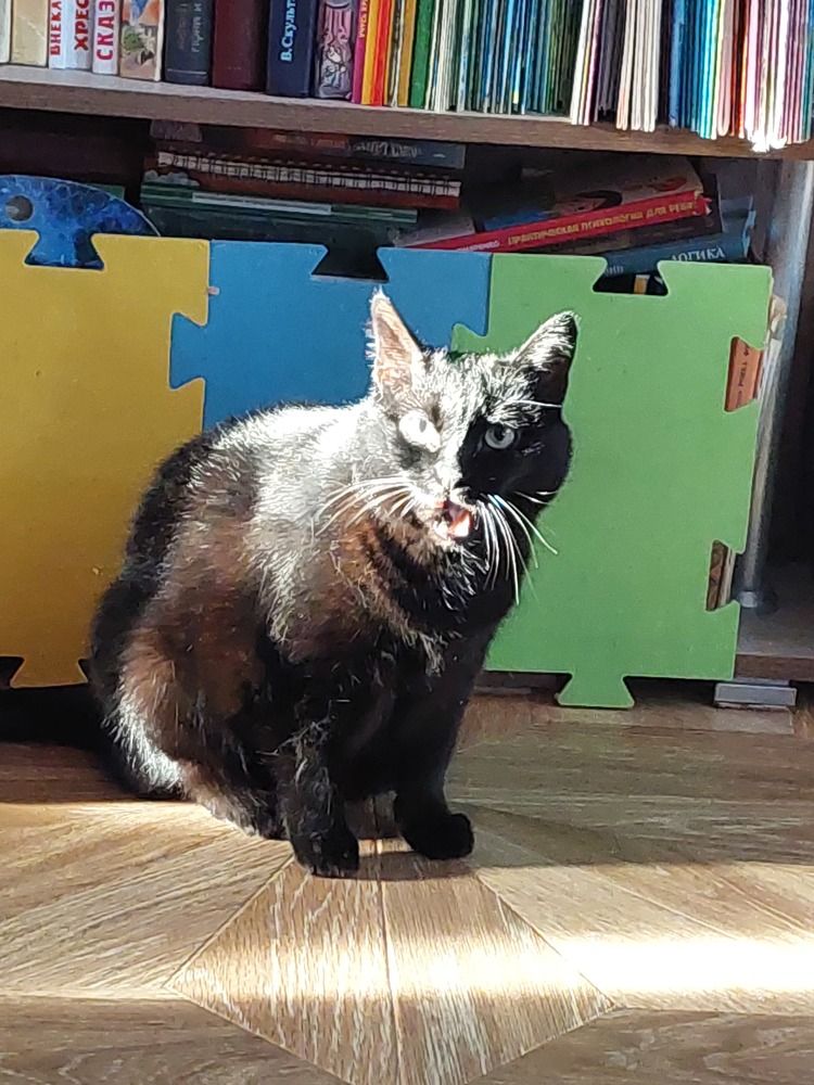 Фотография автора Анастасия Куликова