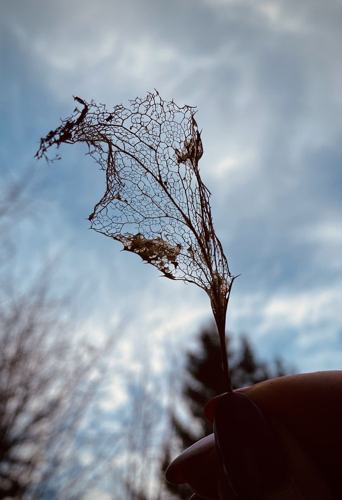 Photograph by Алиса Лукина