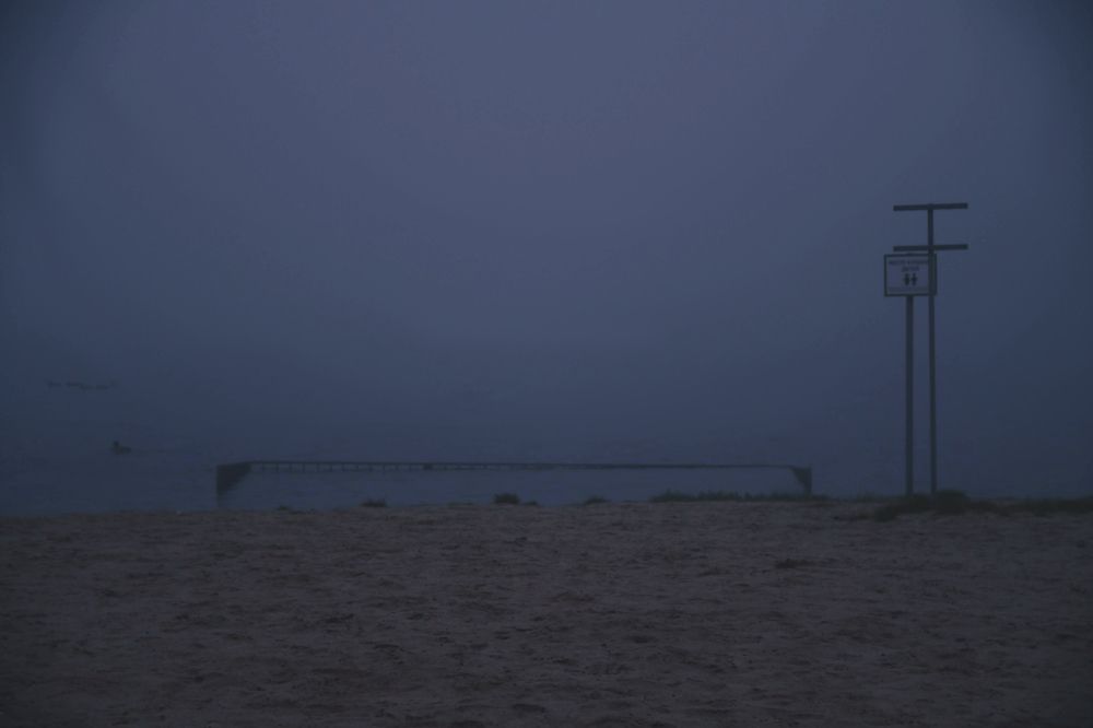 Фотография автора Дарья Гусенцова