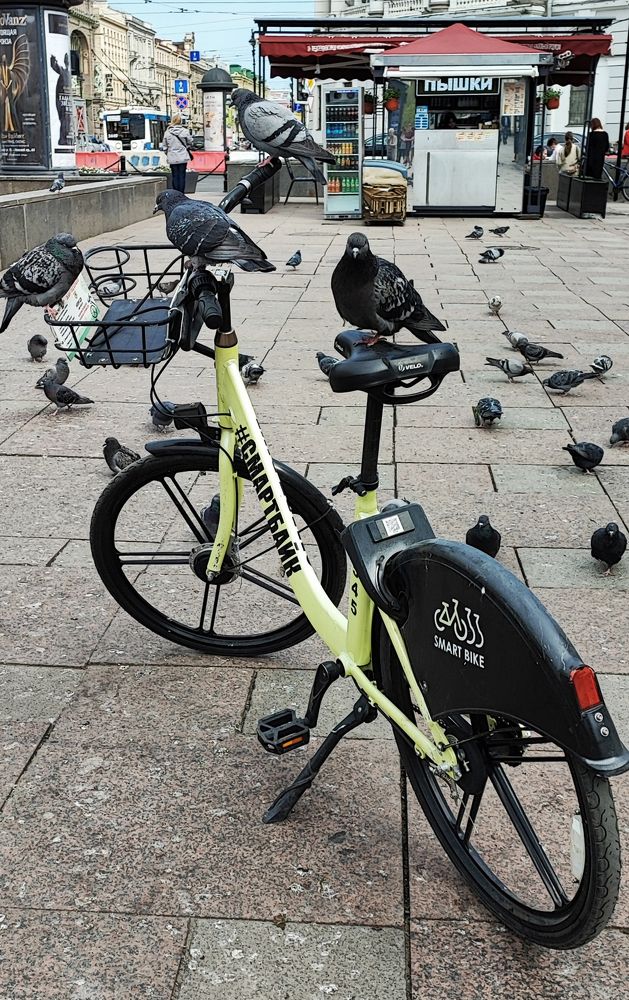 Photograph by Елена Юдина