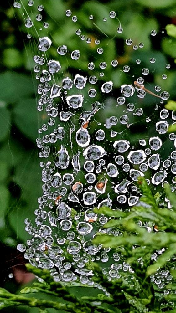 Photograph by Виктория Образцова