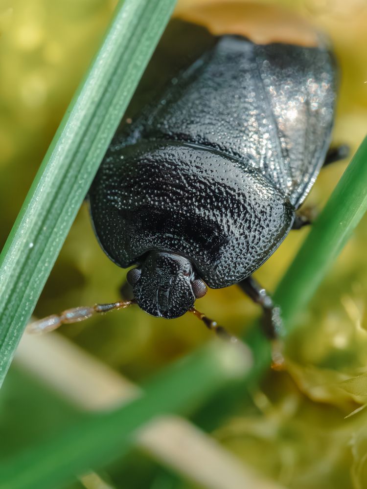 Photograph by Ирина Протченко