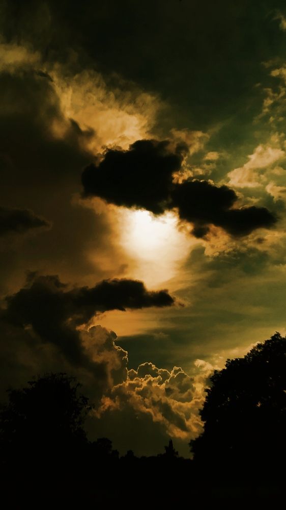 Photograph by Amrutha Chowbe