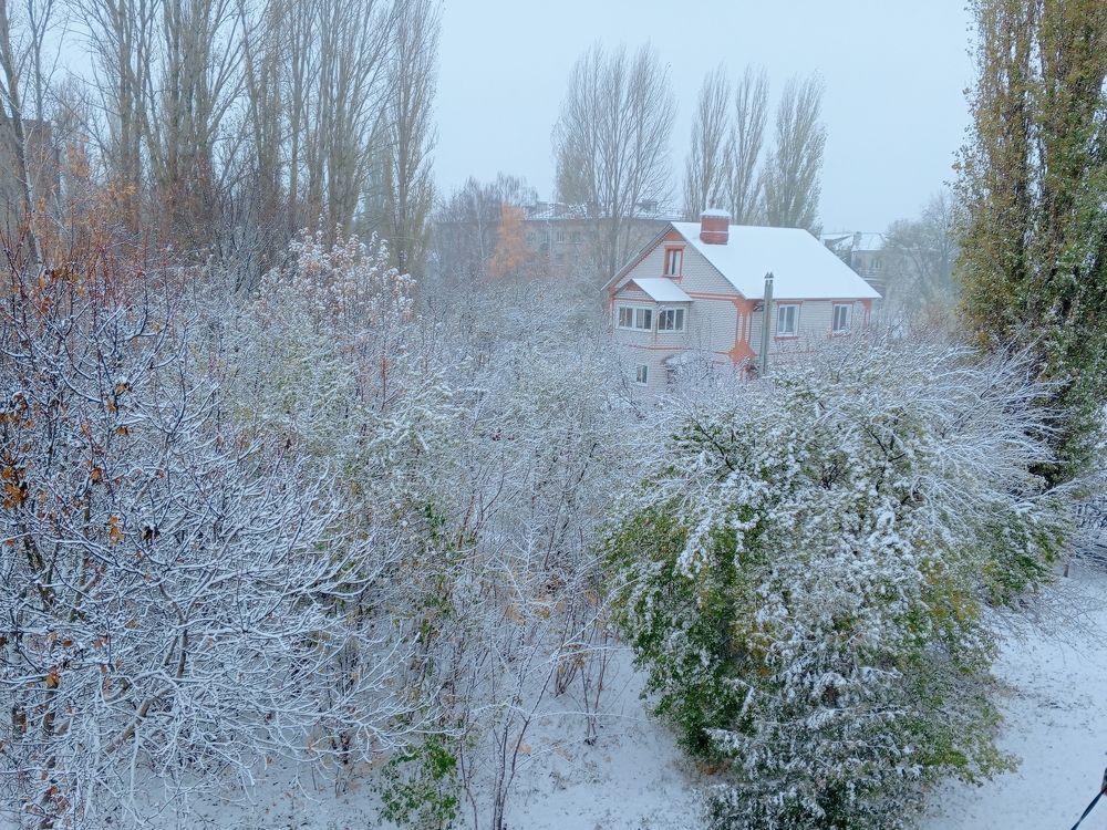 День народного единства. Первый снег.