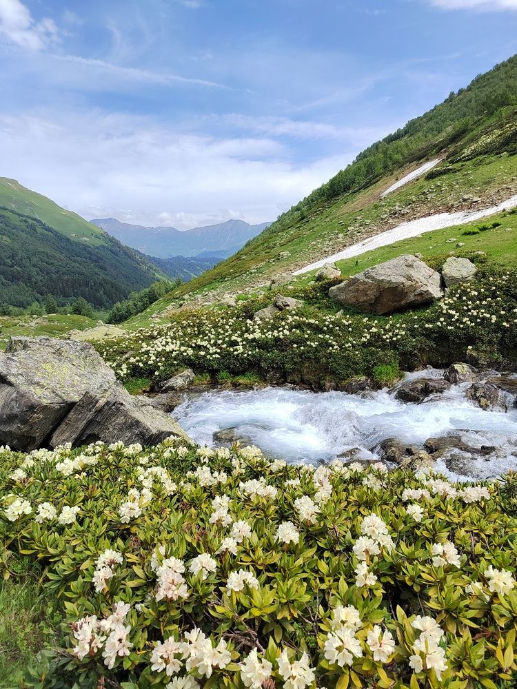 Photograph by Александр Гундоров