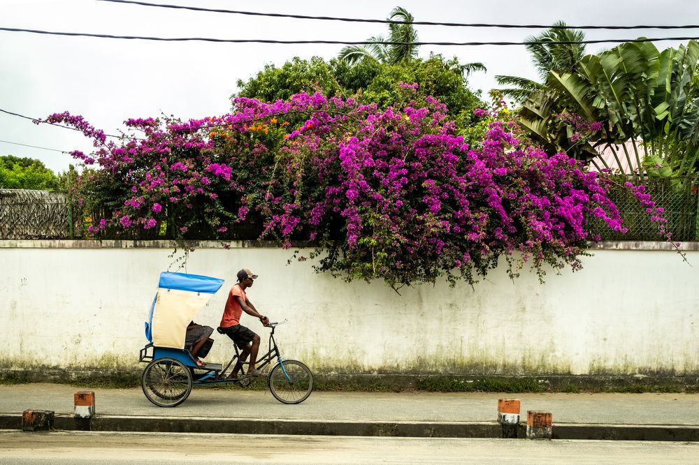 Photograph by Ismail Hassanaly