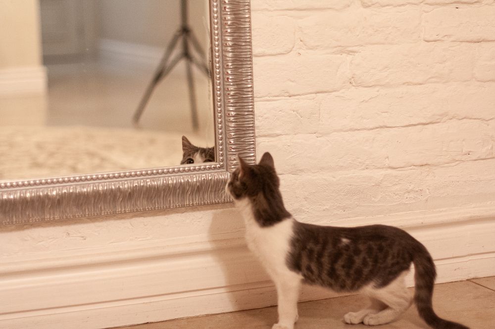 Photograph by Алла Логинова