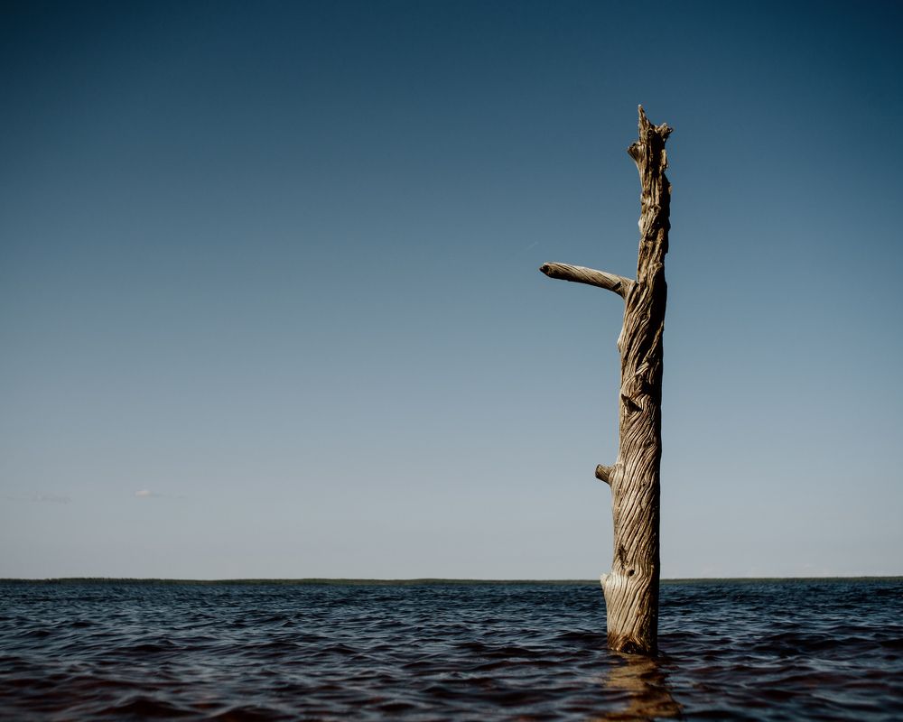 Photograph by Ершов Борис