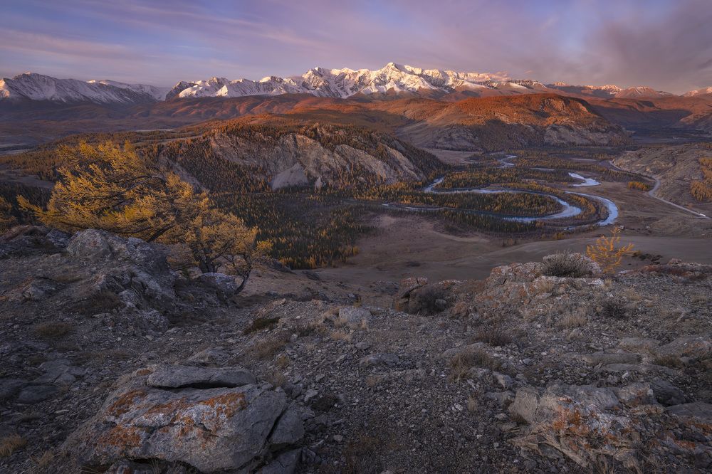 Фотография автора Галина
