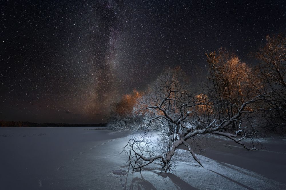 Photograph by Алексей Турчин