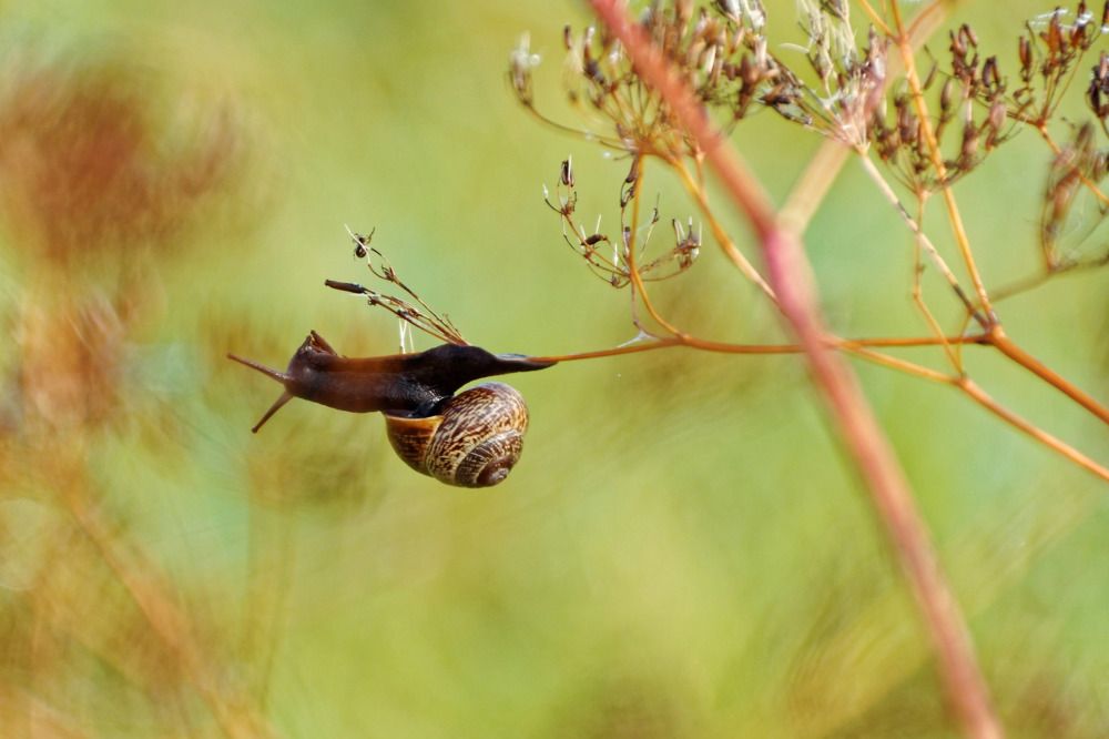 Photograph by Михаил Жарский