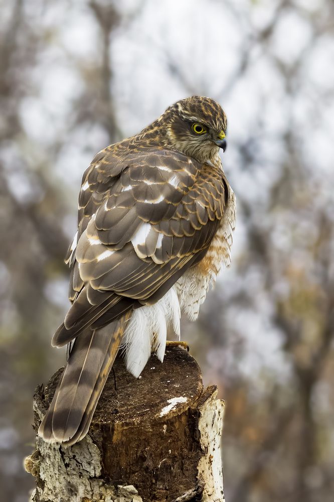 Photograph by Валерий Черняк