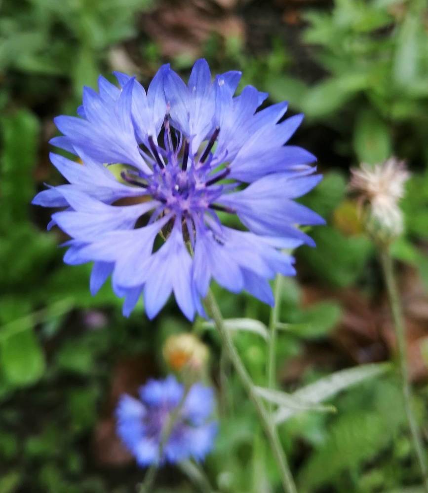 Photograph by Наталия