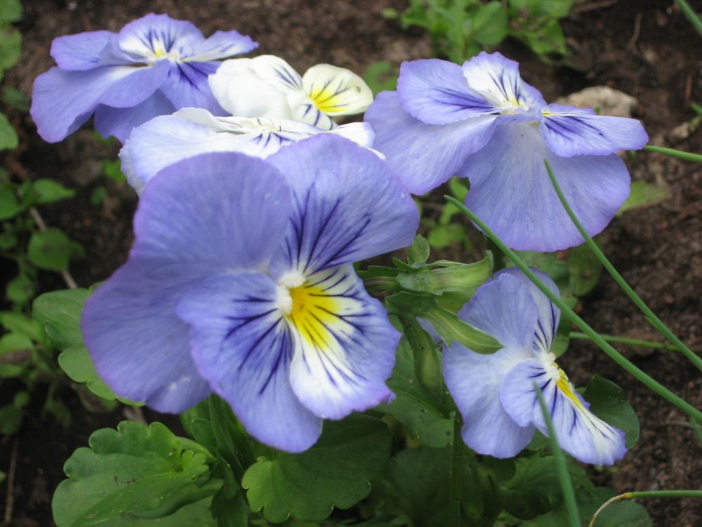 Photograph by Наталия