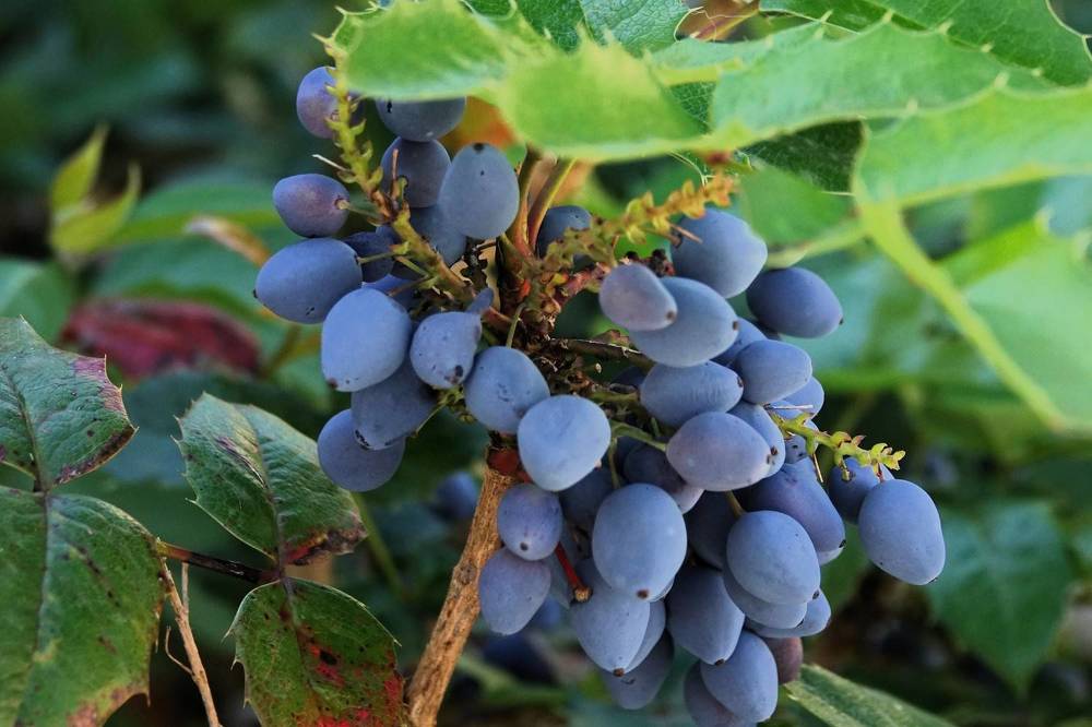 Photograph by jelena konickaja