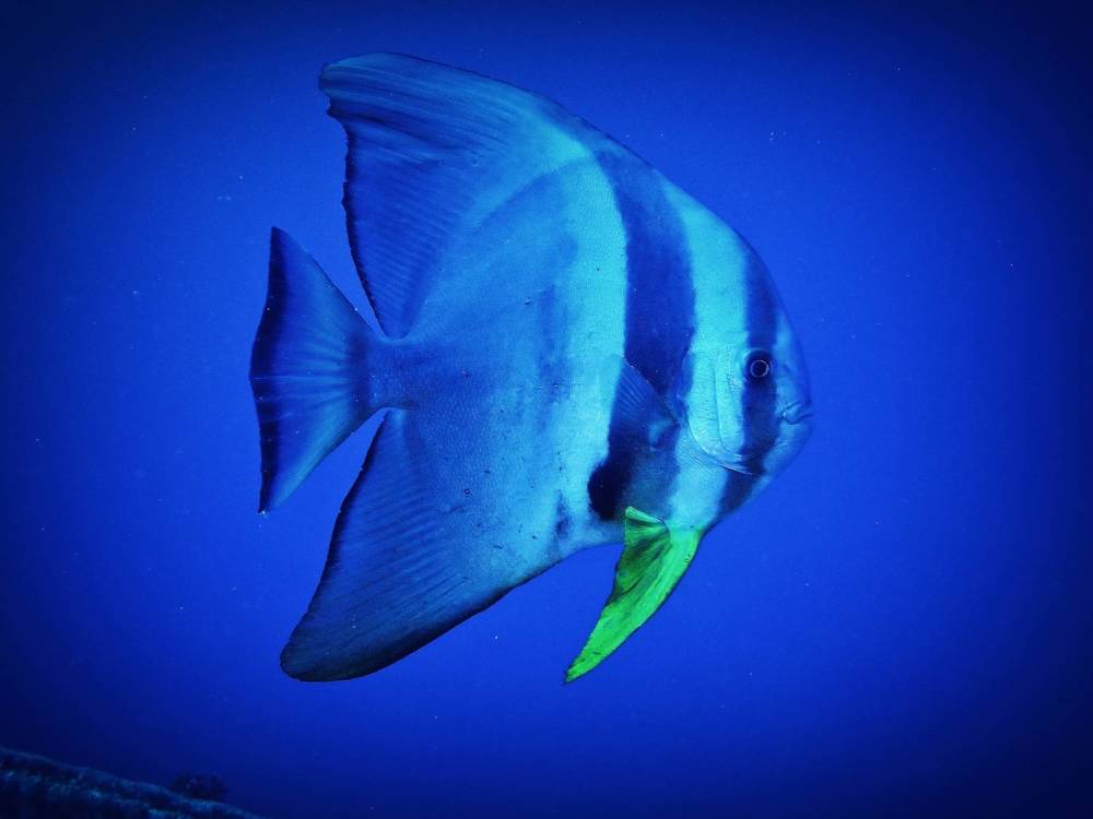 Photograph by Кирилл Леднев