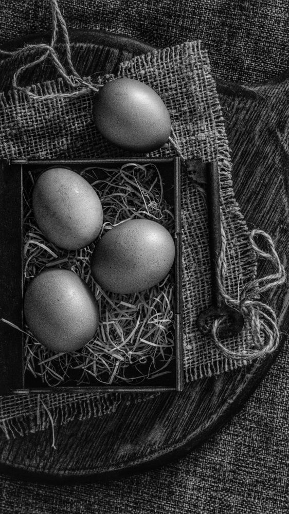 Photograph by Елена Пасажицкая