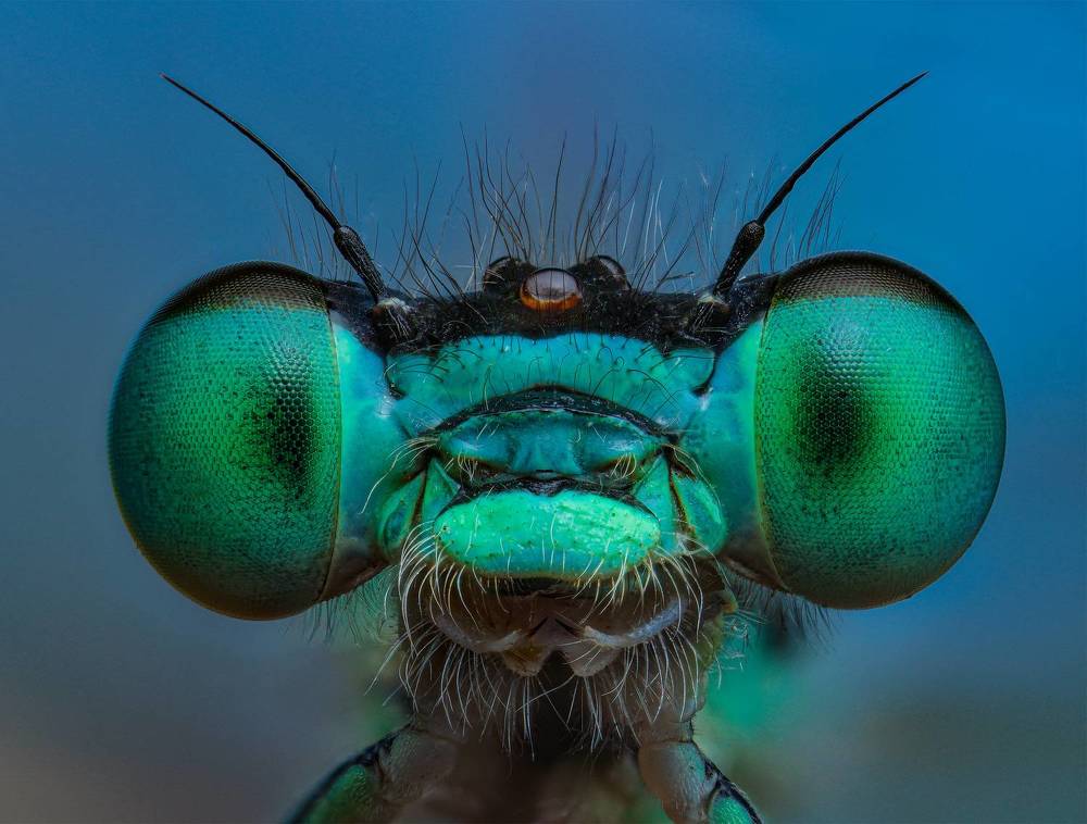 Photograph by Юрий Юрьевич Подгрушный