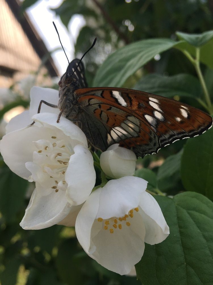 Photograph by Ольга Рубцова