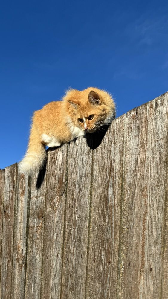 Photograph by Светлана Родионова