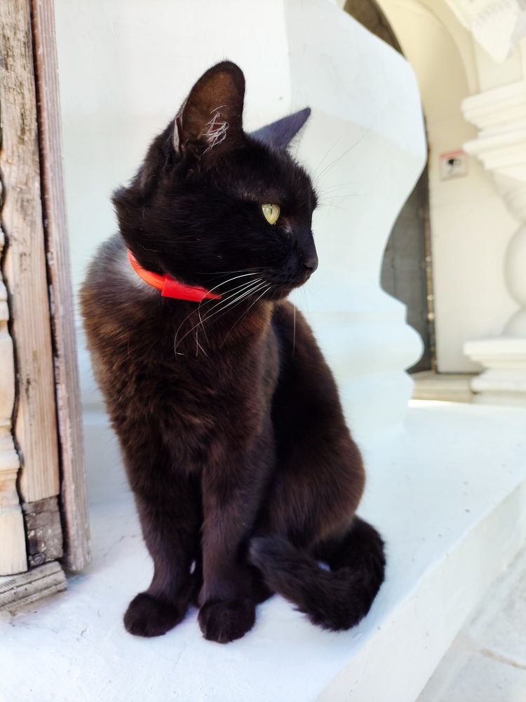 Photograph by Света Сафонова