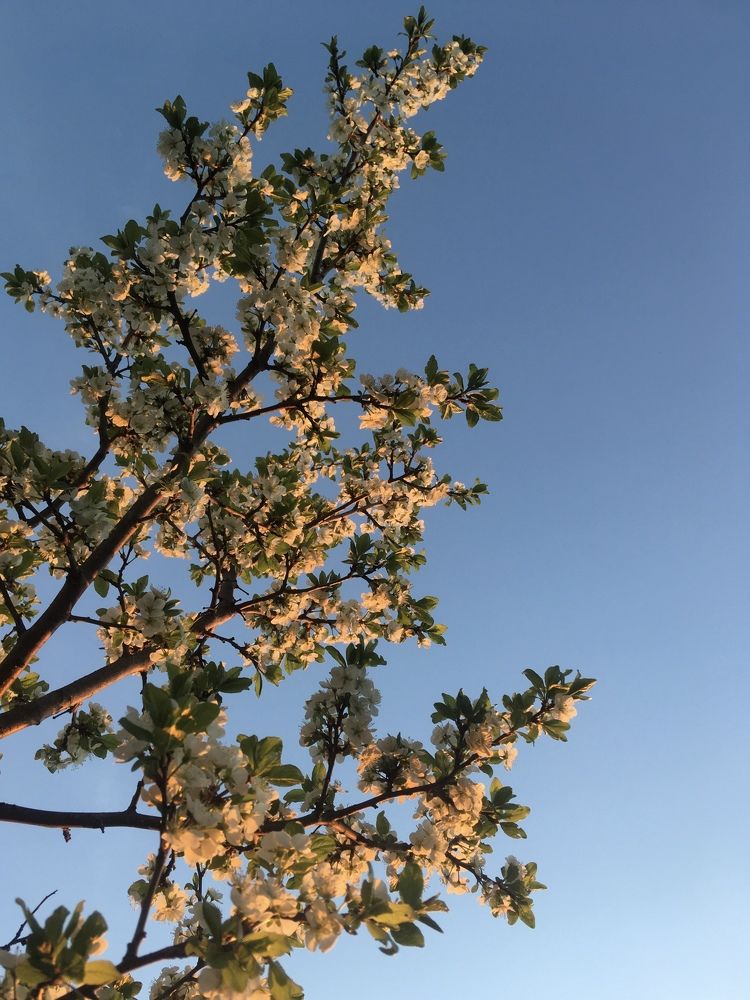 Photograph by Ольга Рубцова