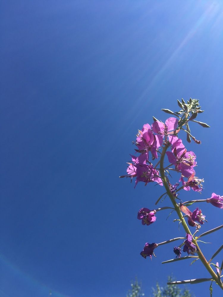 Photograph by Ольга Рубцова