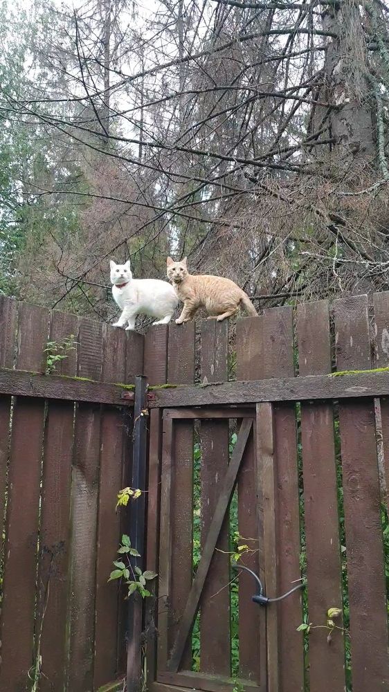 Photograph by Виктория Образцова