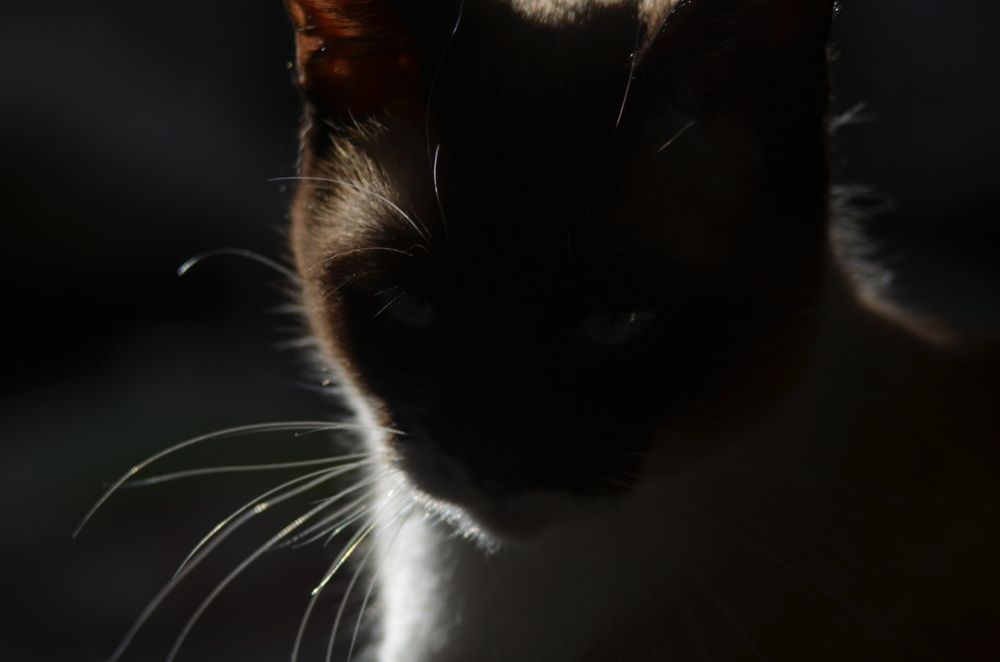 Photograph by Valentina