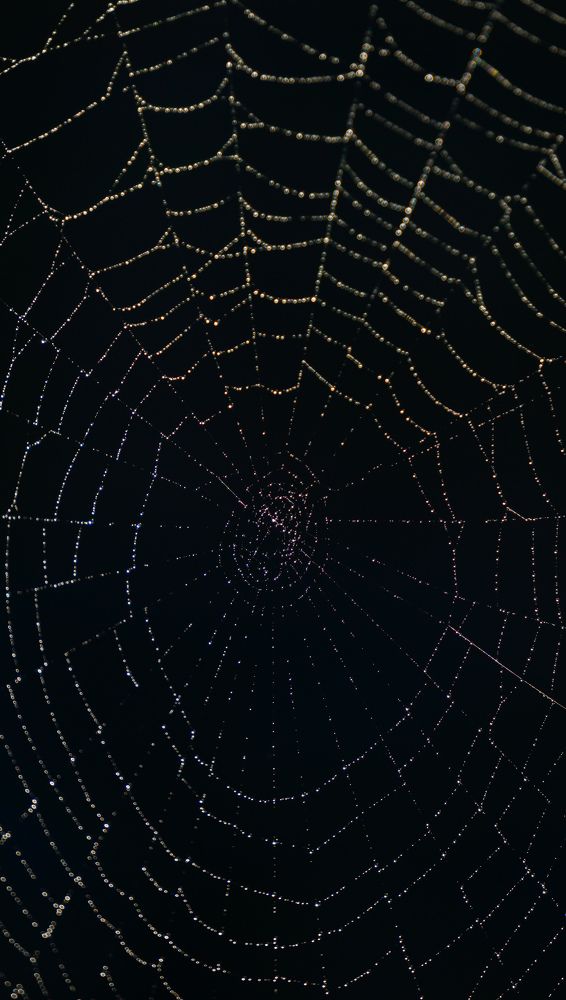 Photograph by Елена Пасажицкая