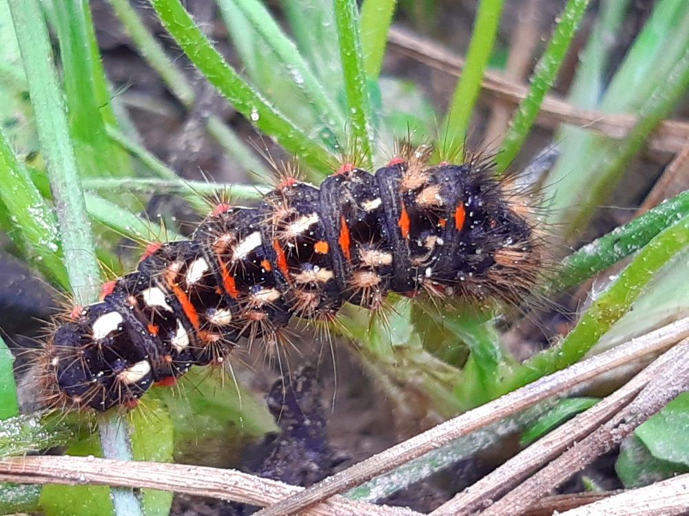 Photograph by Екатерина