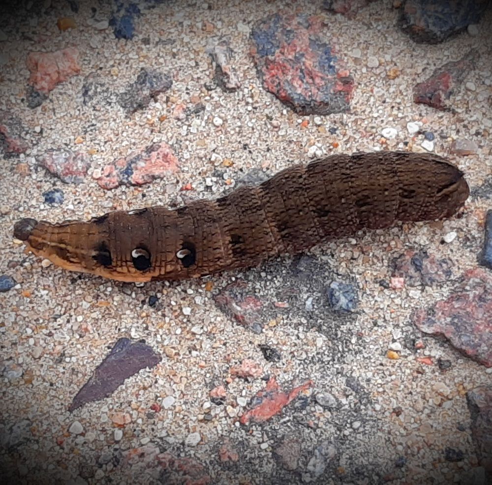 Photograph by Екатерина